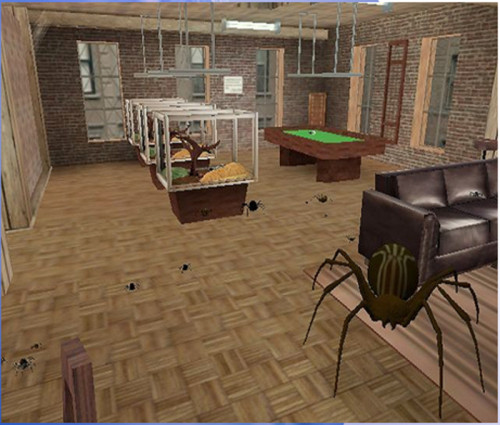 Spiders in a virtual reality environment. Image via Virtual Reality Medical Center