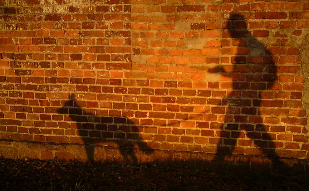 Sillhoeutte of a person walking a dog while looking at a phone. The person and the dog are shadows against a reddish brick wall.