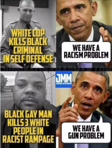 This image features four parts, arranged into squares. In the top left square, a picture of Officer Darren Wilson, the white police officer who shot Michael Brown in Ferguson, Missouri. In yellow lettering, the caption reads, White cop kills black criminal in self defense. To the right is a image of President Barack Obama looking concerned. A speech bubble from his mouth reads, We have a racism problem. In the lower left corner, a photograph of Bryce Williams, the black man who shot a reporter and cameraman on live television in Virginia before killing himself. The caption reads in yellow lettering, Black gay man kills three white people in racist rampage. The adjacent image features Obama, noticeably less pensive, saying We have a gun problem.