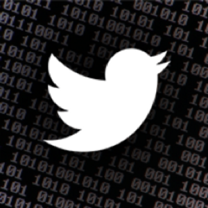 This image features a white image of the Twitter logo, which is a bird in flight. It is placed on a black background featuring ones and zeroes to represent binary code.