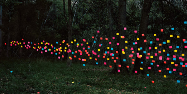 A "swarm" of post-its in a forest.