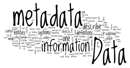 An image of words jumbled together, with some words emboldened and enlarged. The largest bold word is "Metadata," which is the focus of the artwork. Other words hat are large and bold include "information," "definitions," and "systems".