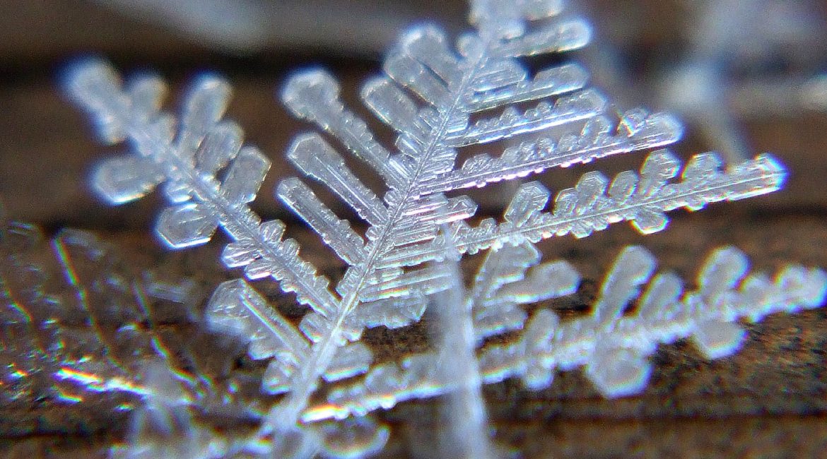 Macro image of a snowflake