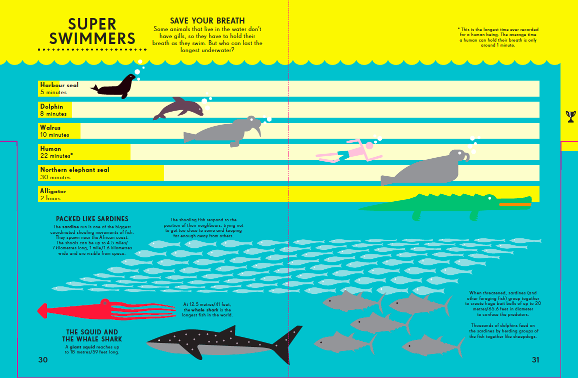 Infographic entitled Super Swimmers showing how long different animals can hold their breath