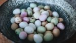 Aesthetically pleasing multicolored eggs in a bowl